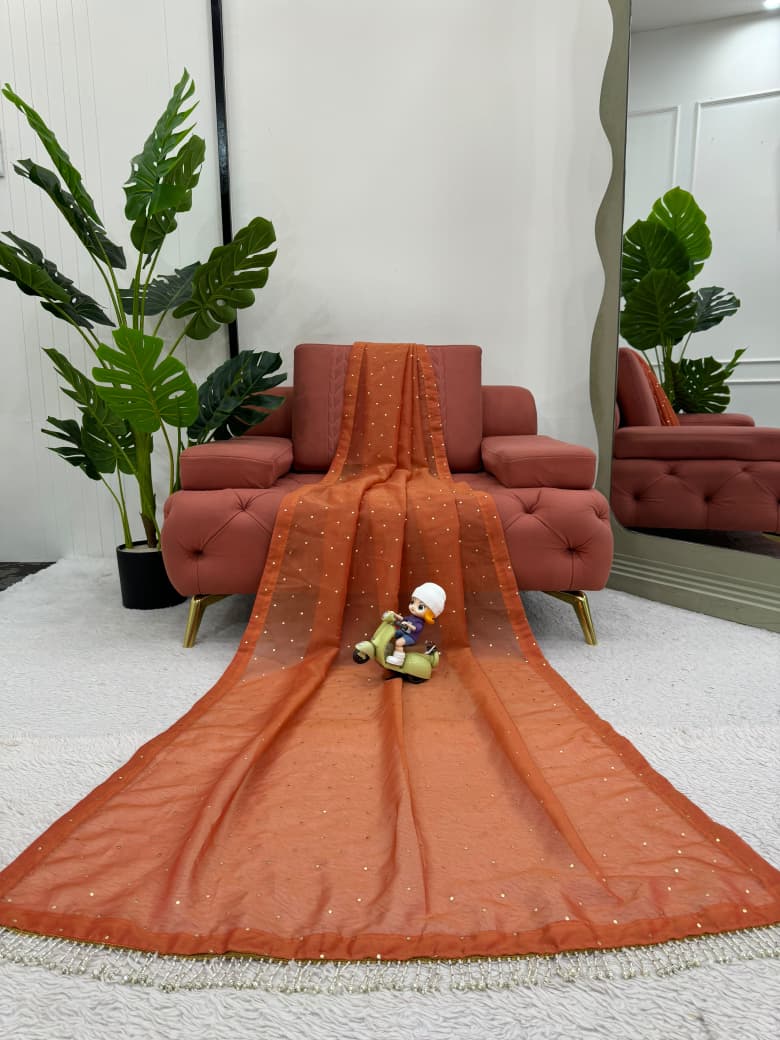 Designer Chimar Tissue Silk Saree
