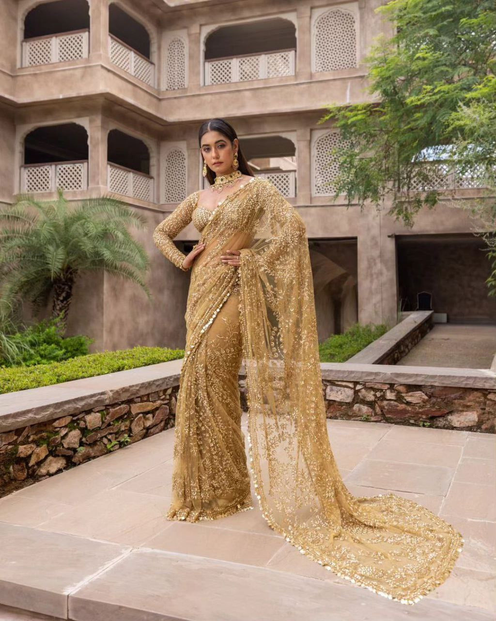 Heavy Nylon Butterfly Net Saree with Multi & Sequence Work and Lace Border
