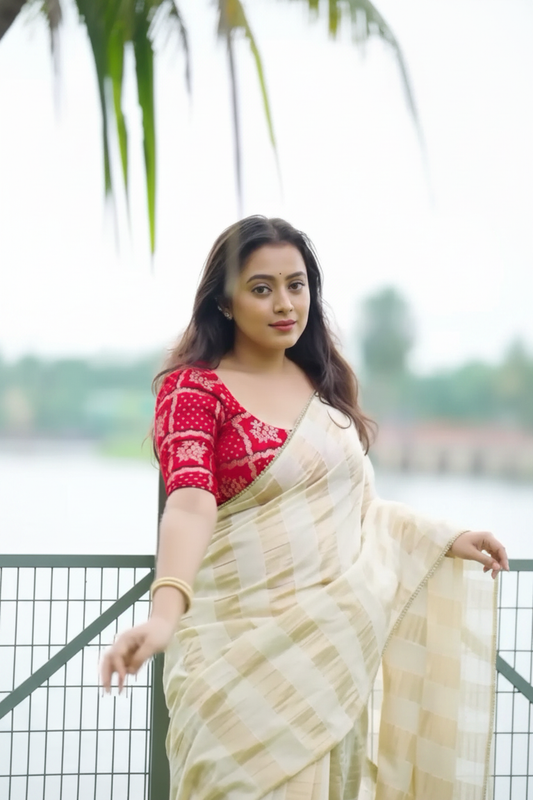 Ivory White Chanderi Saree - Model Shot